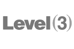 Level 3